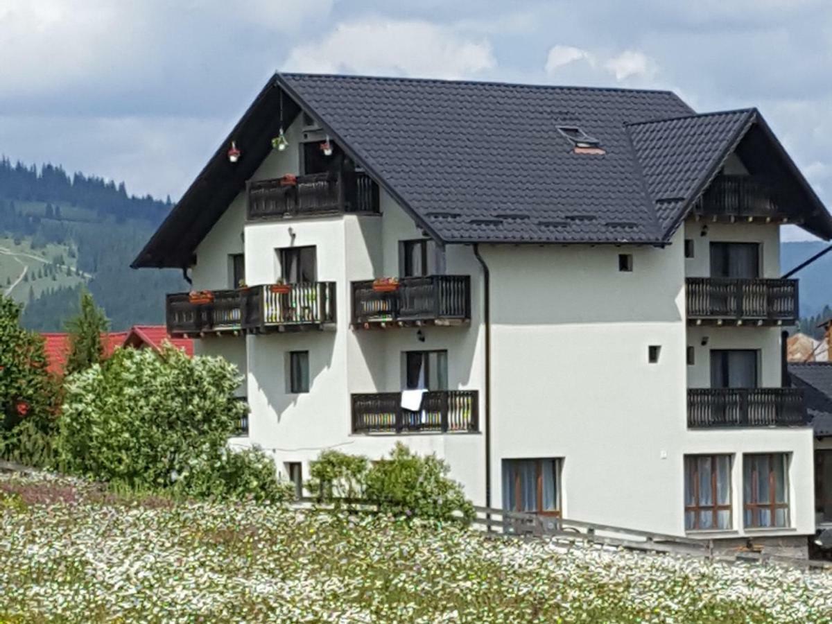 Hotel Casa Dar&And Vatra Dornei Exterior foto